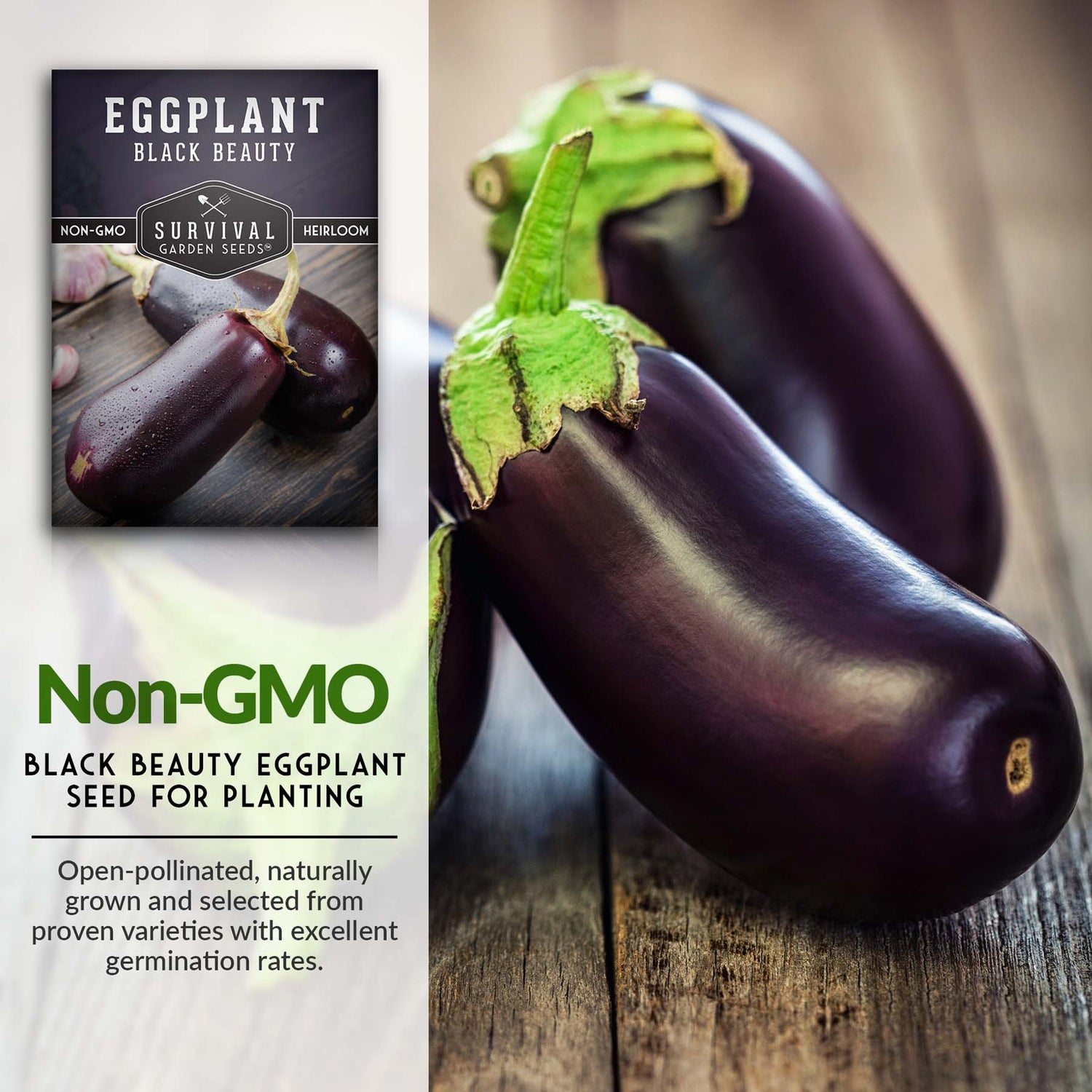 Black Beauty Eggplant Seed
