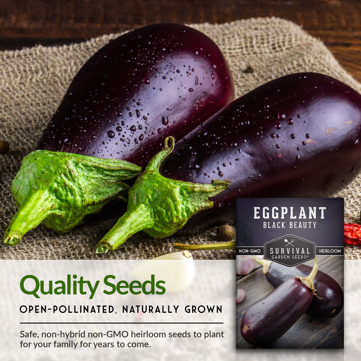 Black Beauty Eggplant Seed