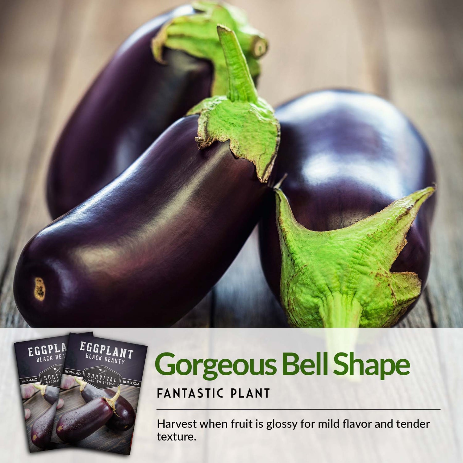 Black Beauty Eggplant Seed