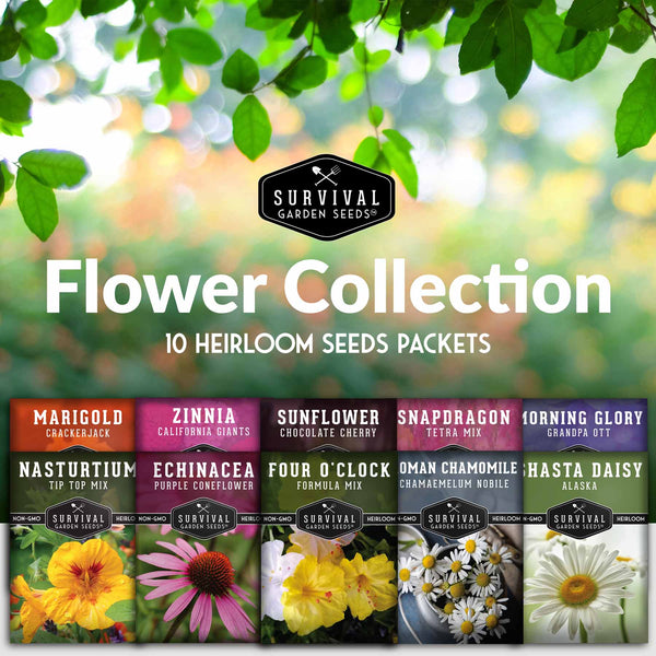 4 Varieties of Edible Flower Seeds - SurvivalGardenSeeds