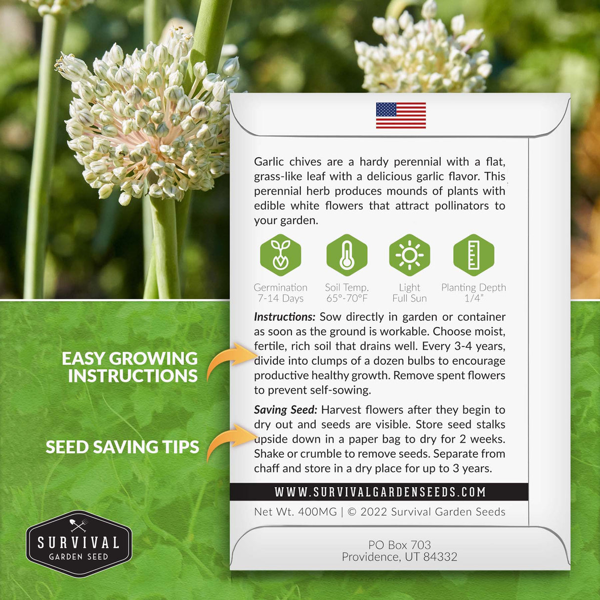 Garlic Chives seed growing instructions