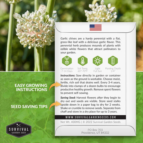 Garlic Chives seed growing instructions