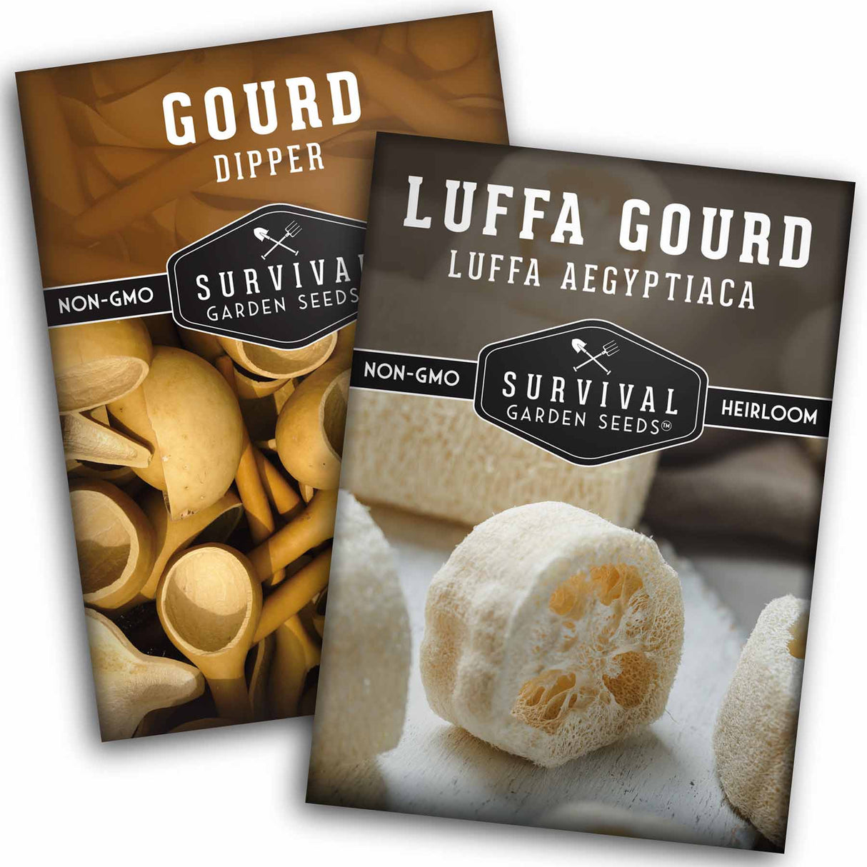 Gourd Seed Collection