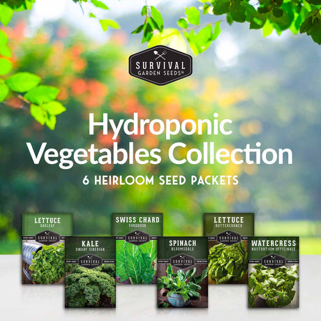 Hydroponic vegetable seeds for your Aerogarden