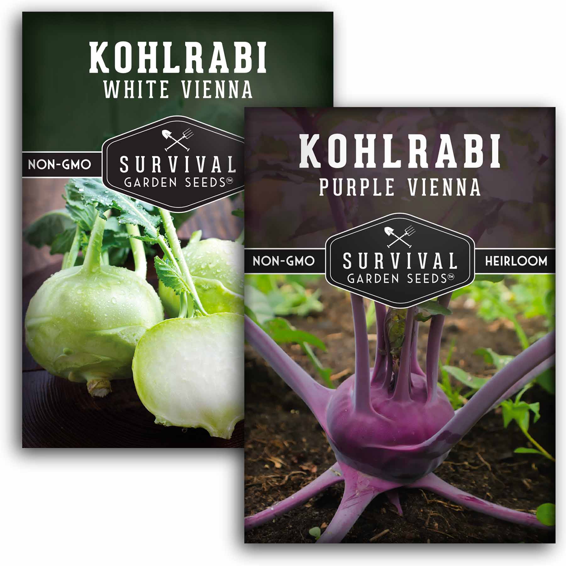 Kohlrabi collection - 2 packets of kohlrabi seeds