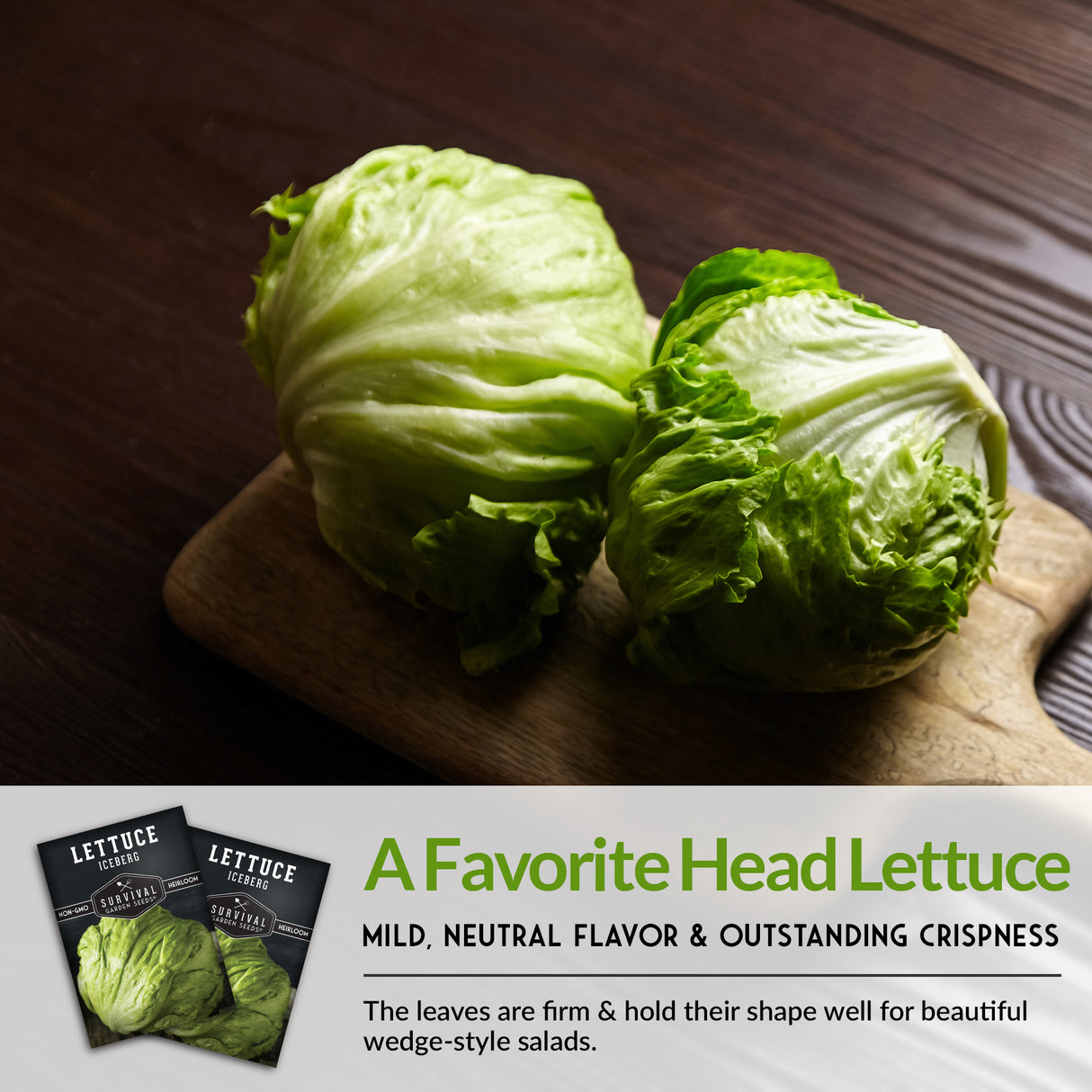 Iceberg Lettuce Seed