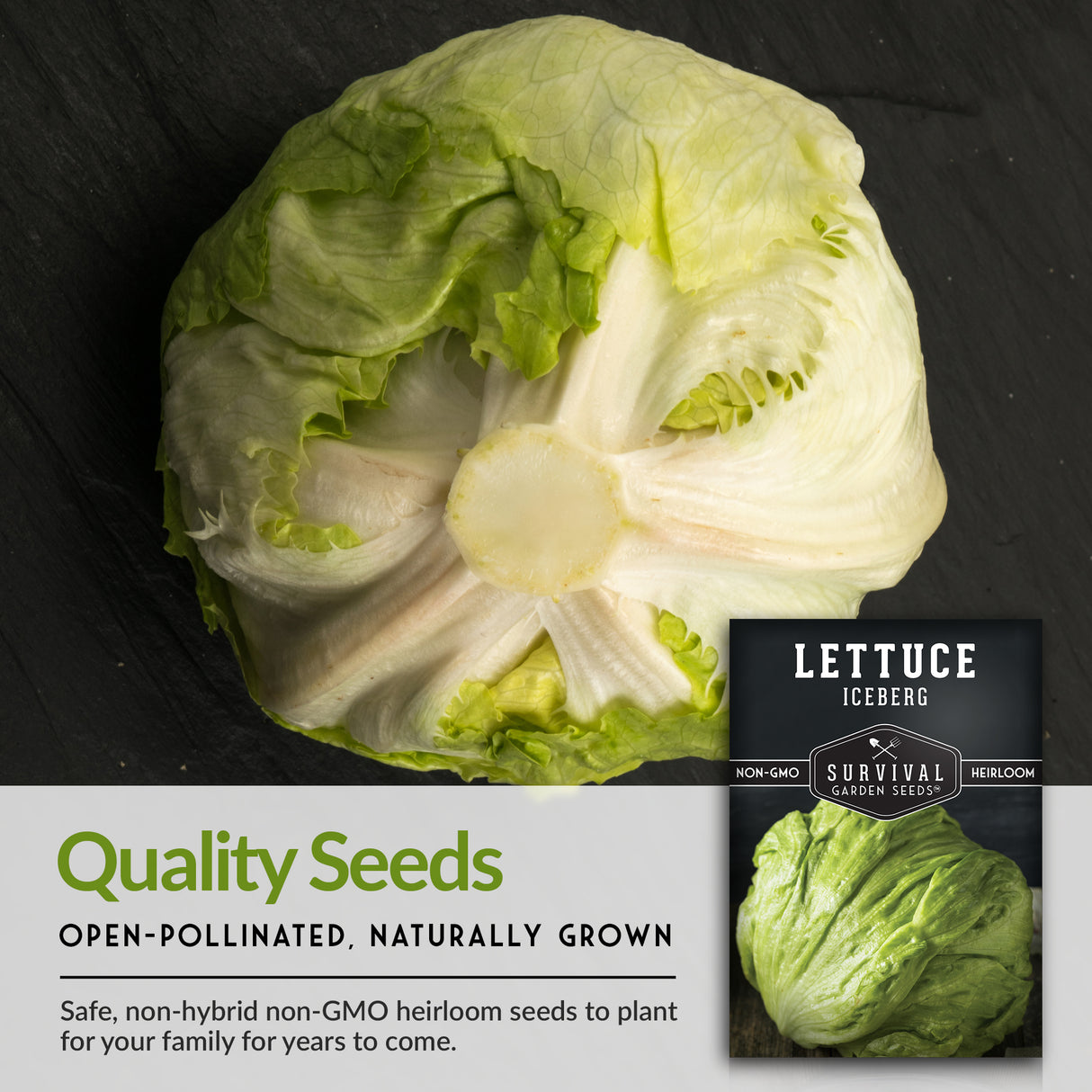 Iceberg Lettuce Seed