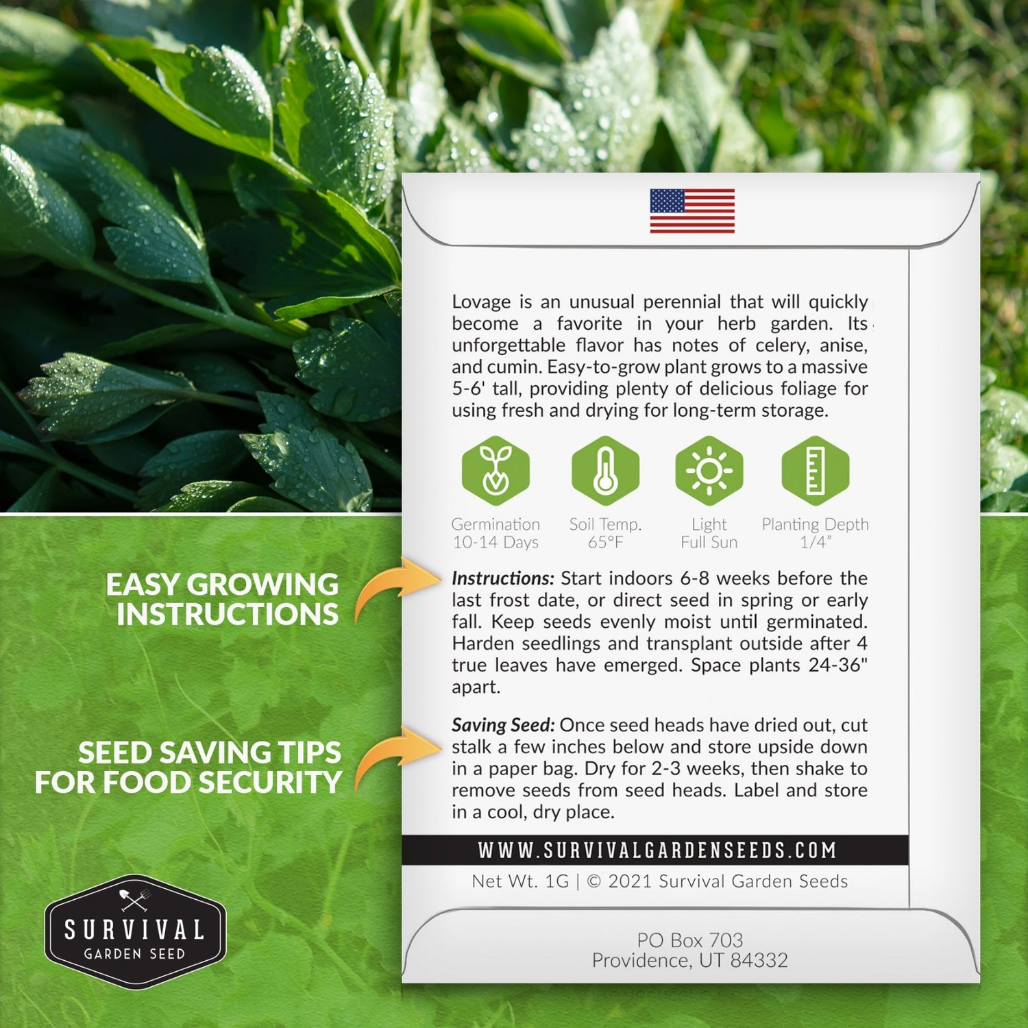 Lovage seed planting instructions