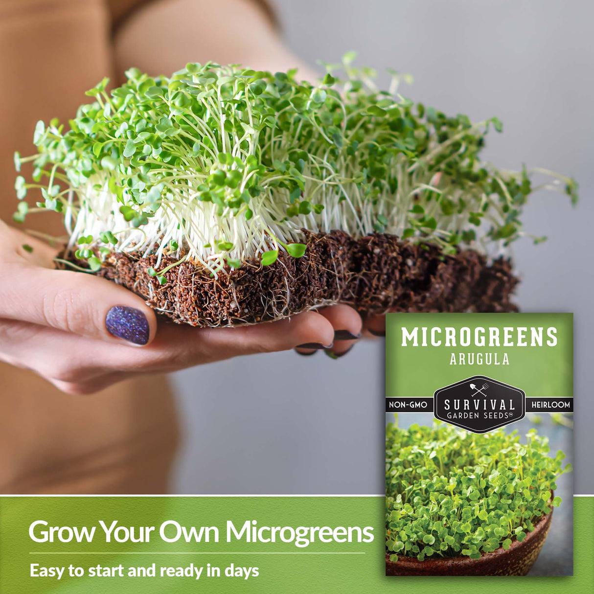 Grow your own microgreens