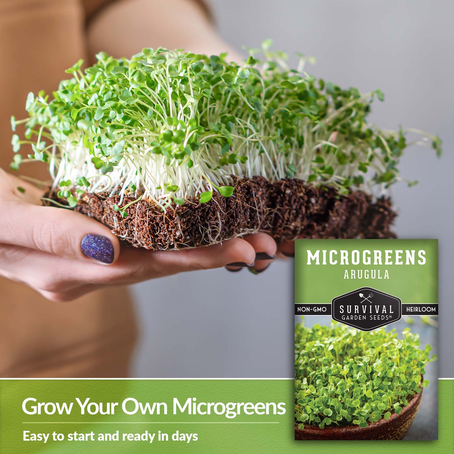 Grow your own microgreens
