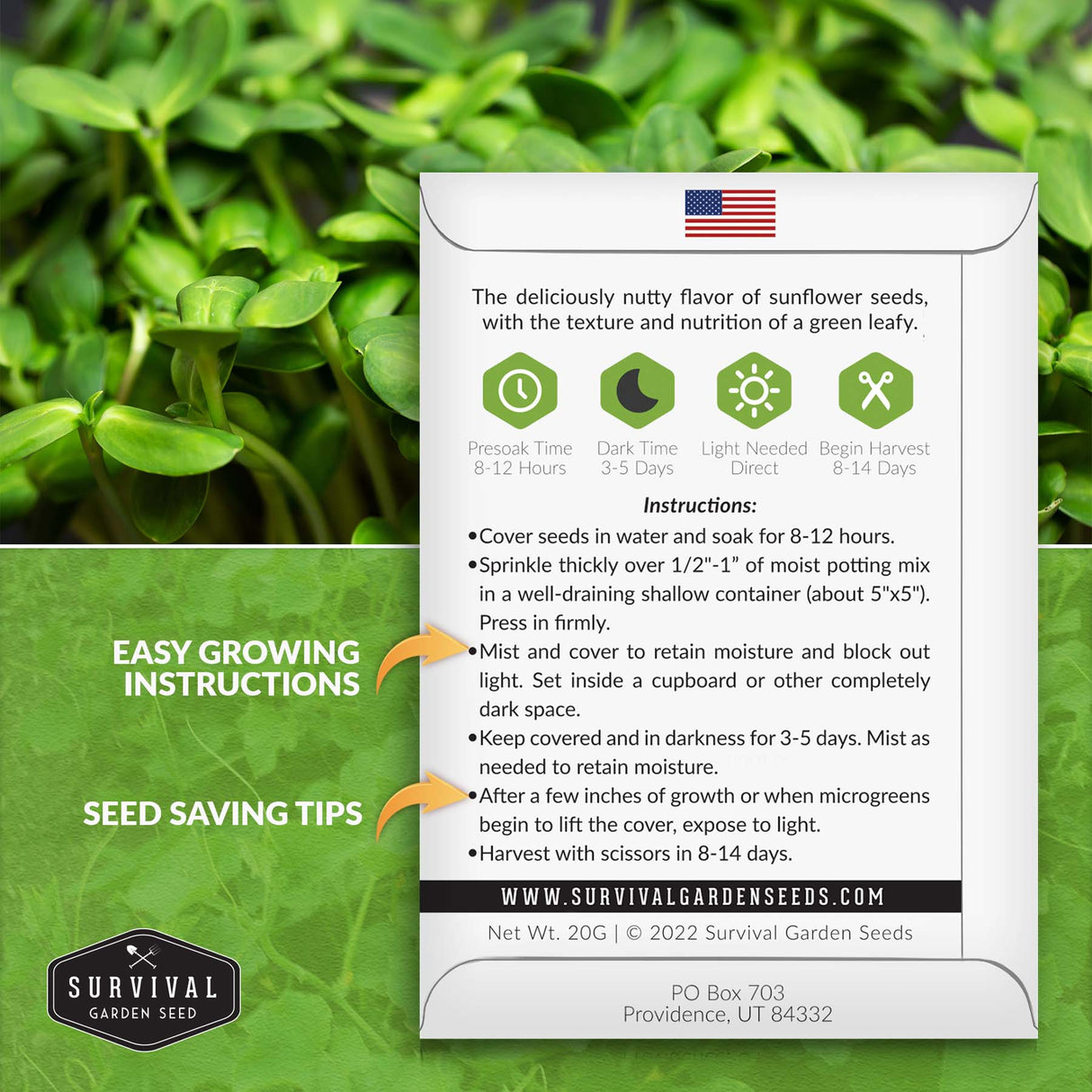 Sunflower Microgreens growing instructions