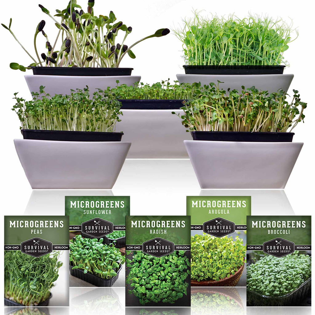 Microgreens 5 Pack - Arugula, Broccoli, Radish, Pea & Sunflower Seeds for Sprouting
