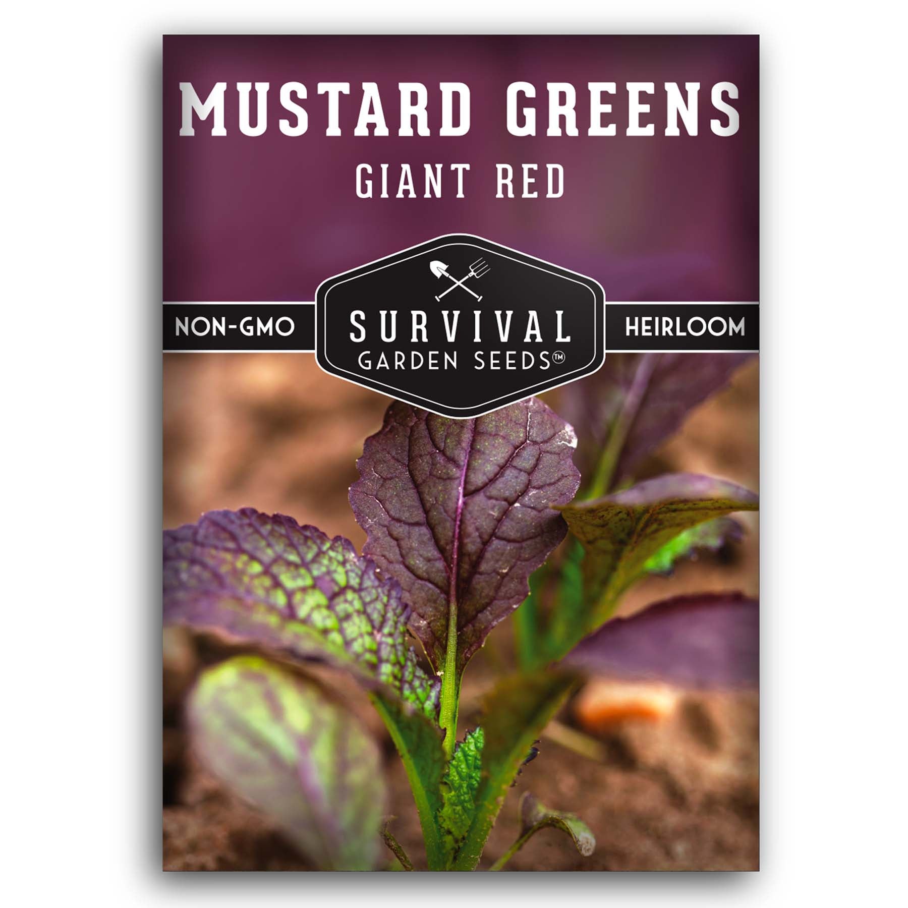 Giant Red Mustard Greens seeds for planting