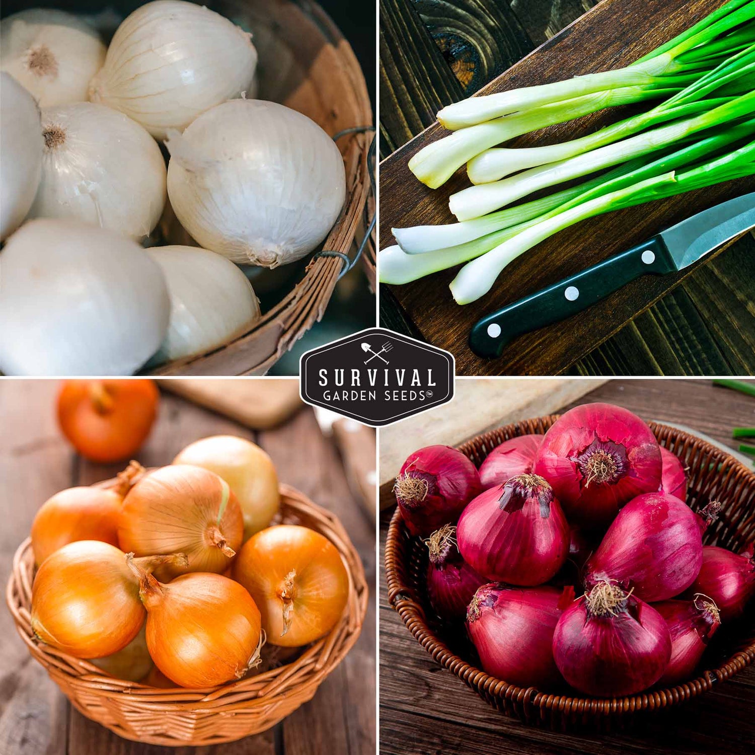 white, yellow, red & green onions
