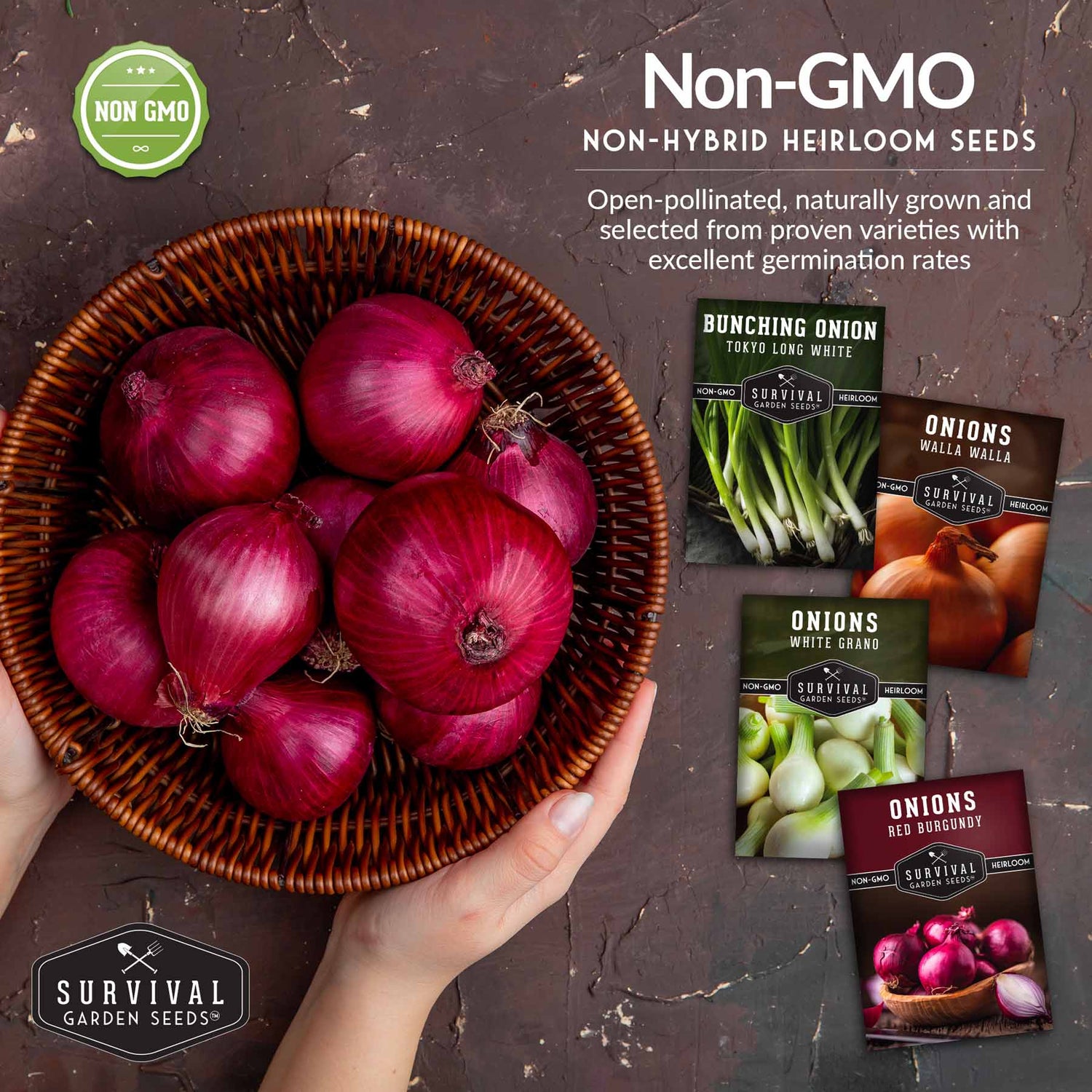 Non-GMO non-hybrid heirloom onion garden seeds