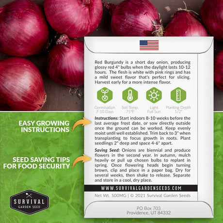 Red Burgundy onion seed planting instructions
