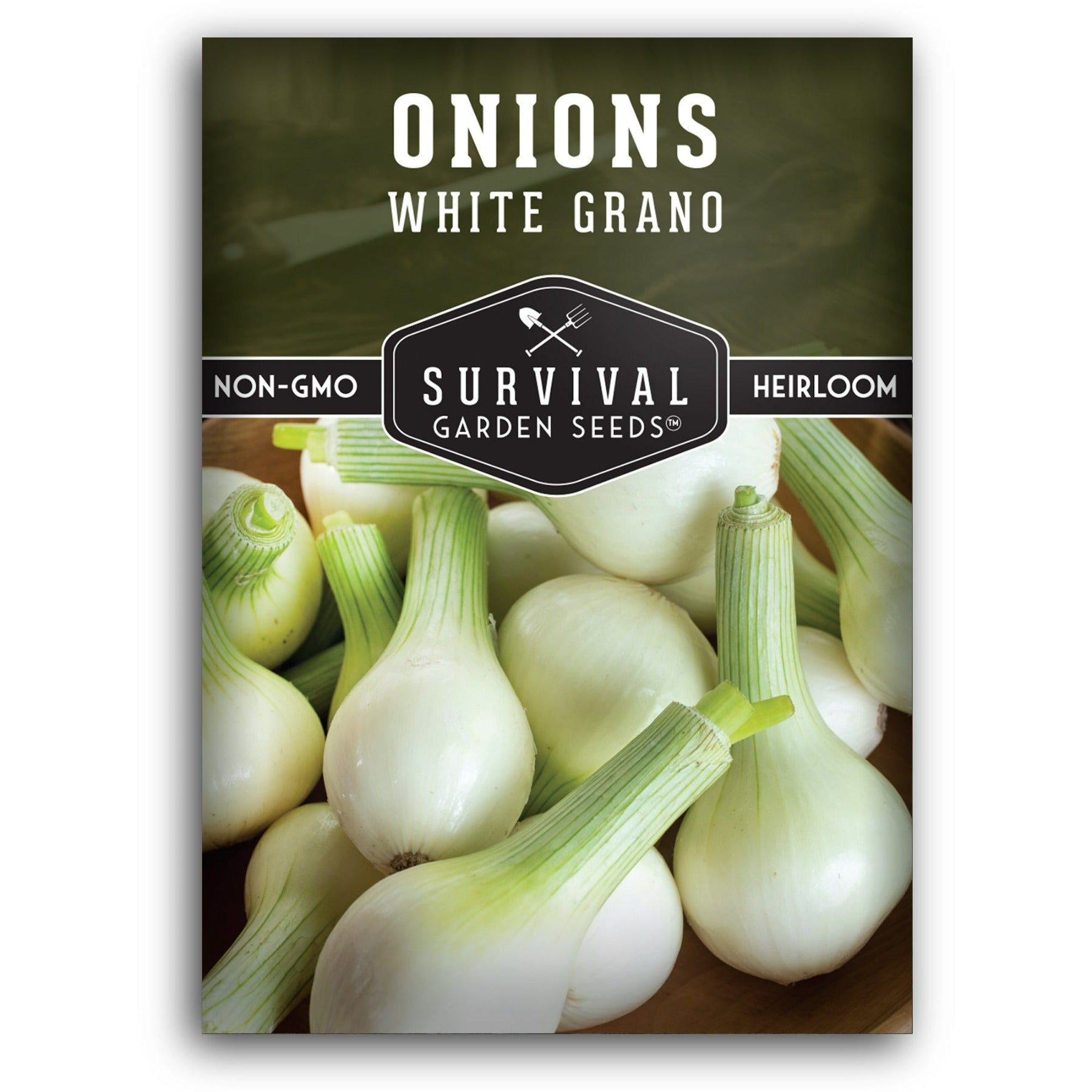 White Grano Onion seed for planting