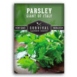 Italian Giant Parsley seeds for planting