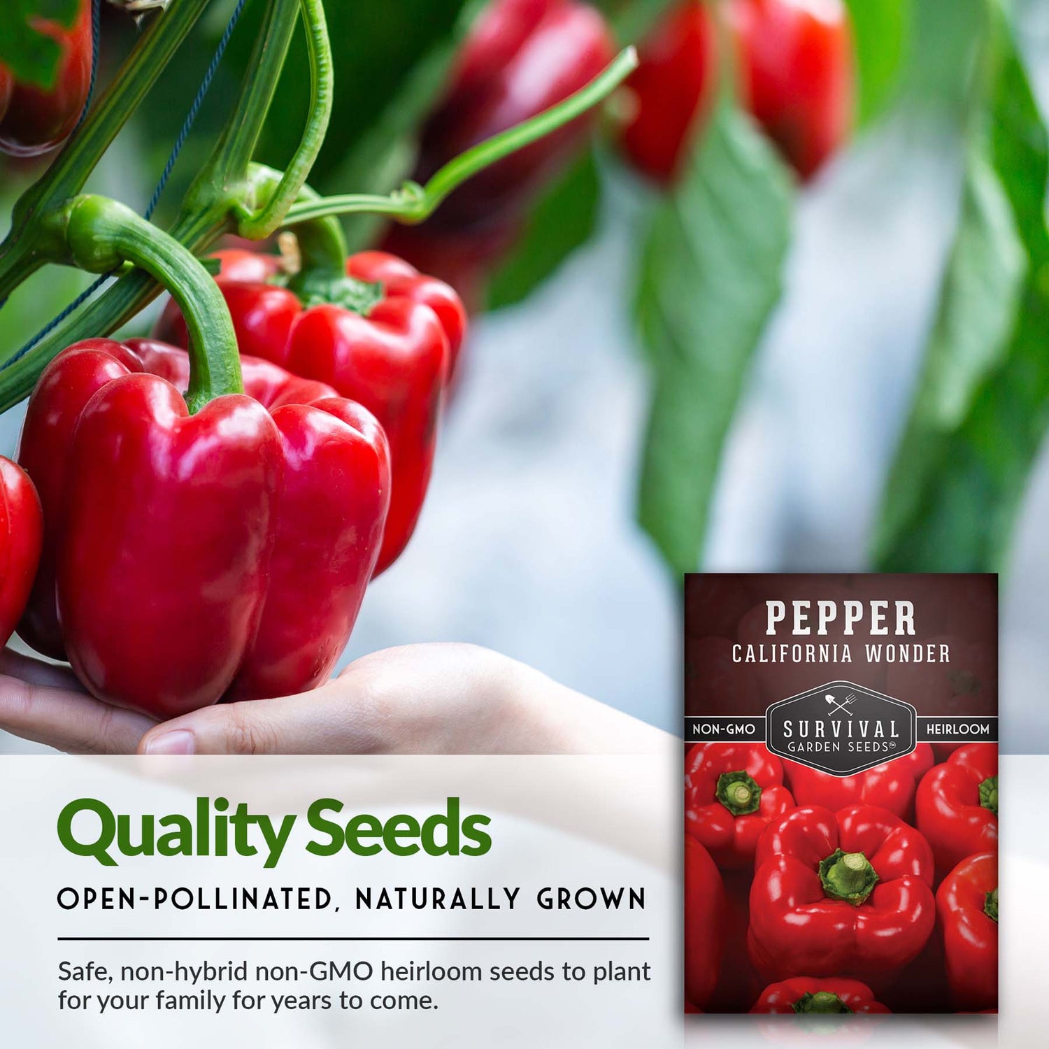 California Wonder Pepper Seed