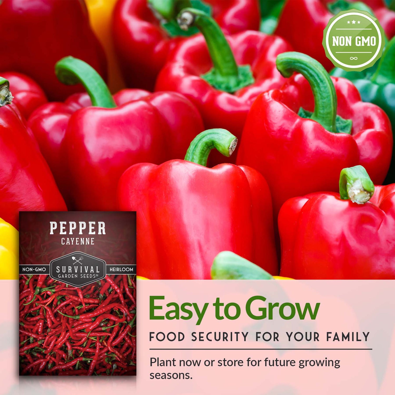 California Wonder Pepper Seed