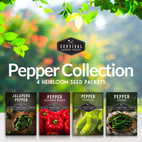 4 varieties of heirloom pepper seeds