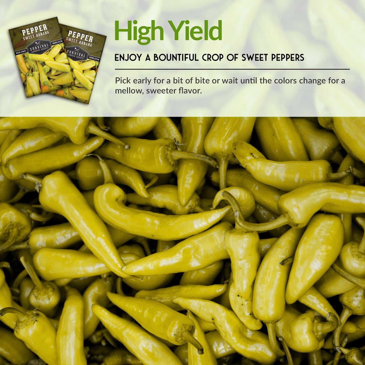 Sweet Banana Pepper Seed