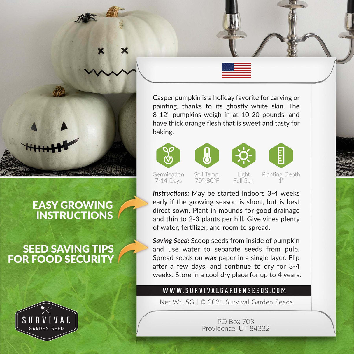 Casper Pumpkin seed planting instructions