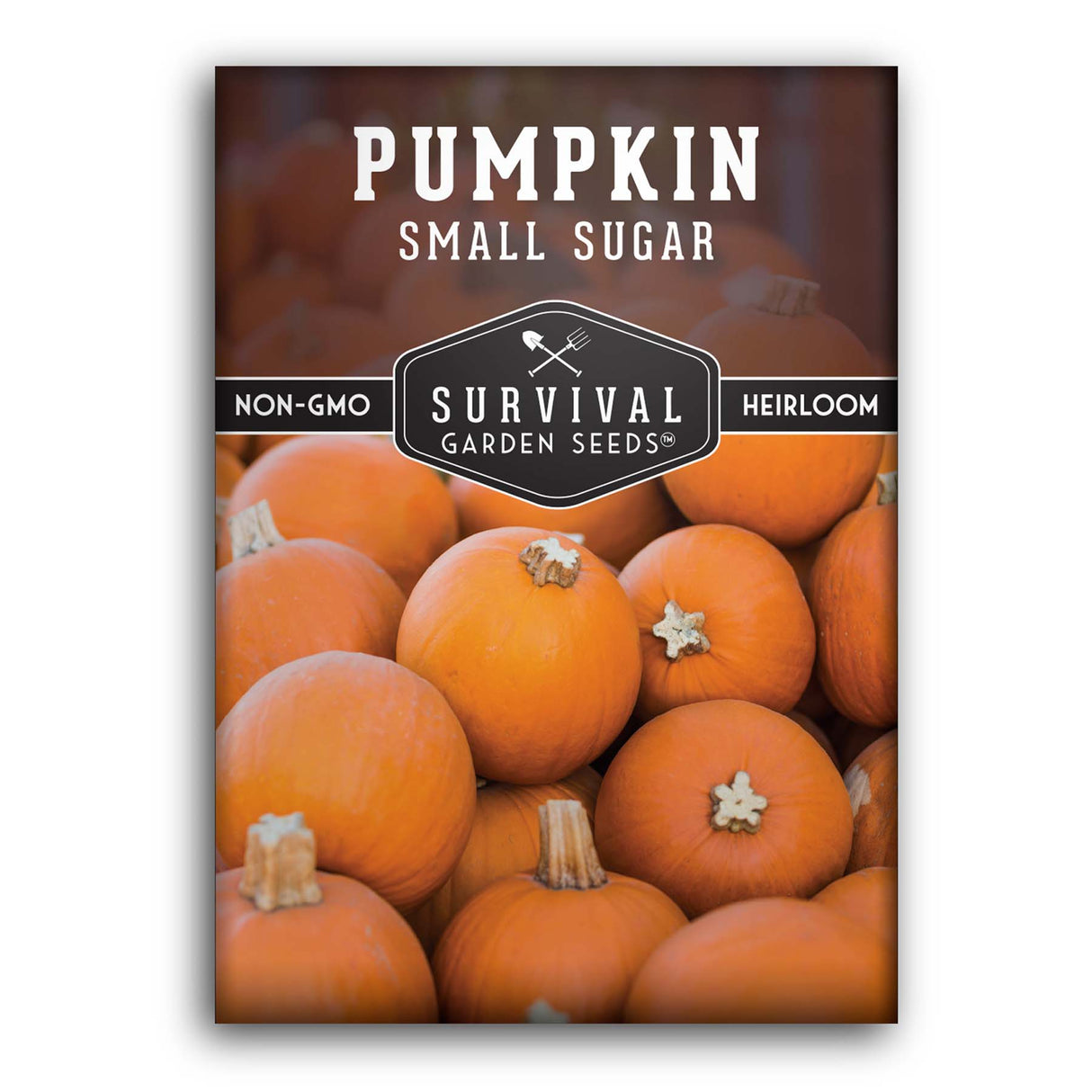 Small Sugar Pumpkin Seeds – Classic Heirloom Pie Variety