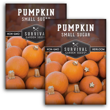 Small Sugar Pumpkin Seeds – Heirloom Non-GMO Pie Pumpkin Variety for Baking, Roasting & Fall Harvest