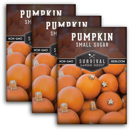 Small Sugar Pumpkin Seeds – Heirloom Non-GMO Pie Pumpkin Variety for Baking, Roasting & Fall Harvest