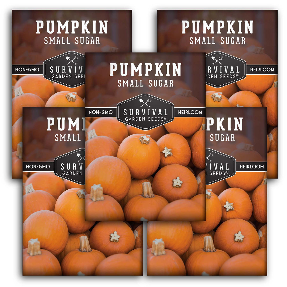 Small Sugar Pumpkin Seeds – Classic Heirloom Pie Variety