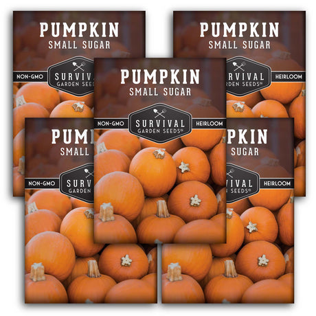 Small Sugar Pumpkin Seeds – Heirloom Non-GMO Pie Pumpkin Variety for Baking, Roasting & Fall Harvest