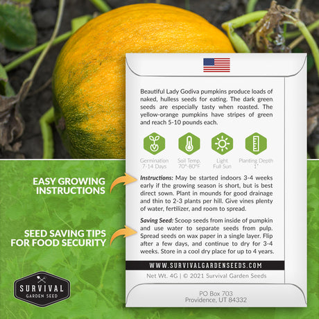 Lady Godiva Pumpkin Seeds – Heirloom Hulless Non-GMO Variety for Homegrown Pepitas, Snacking & Fall Décor