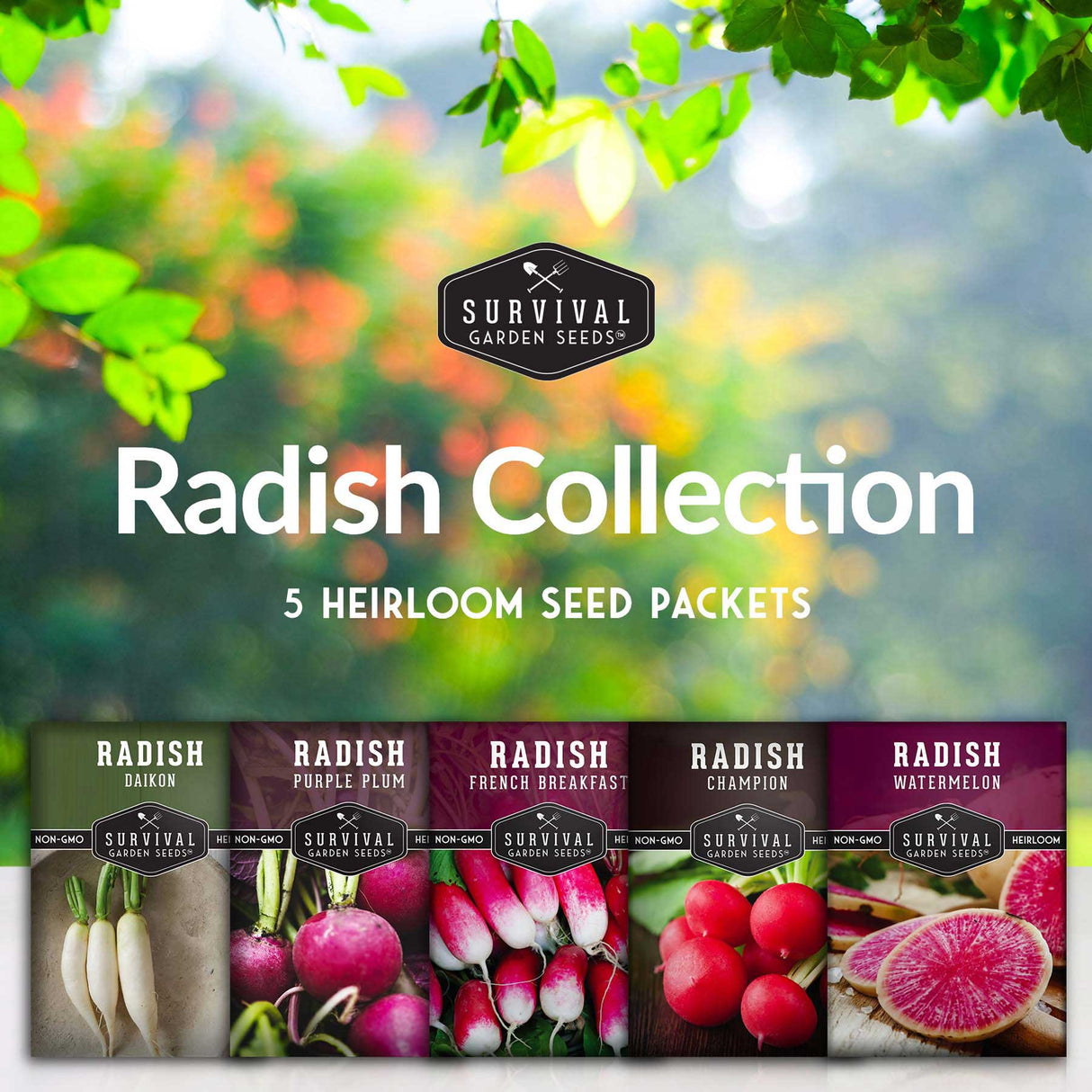5 heirloom radish seed packets