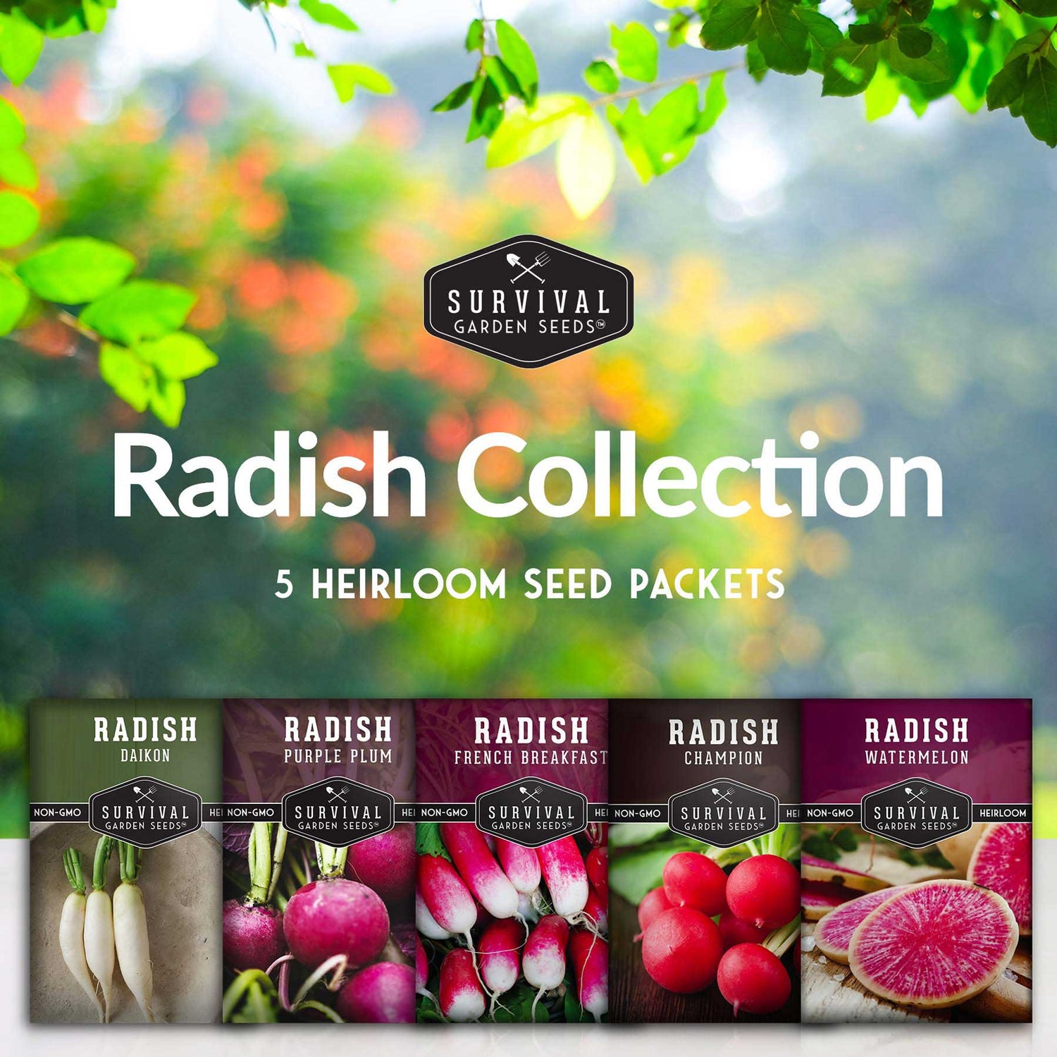 5 heirloom radish seed packets