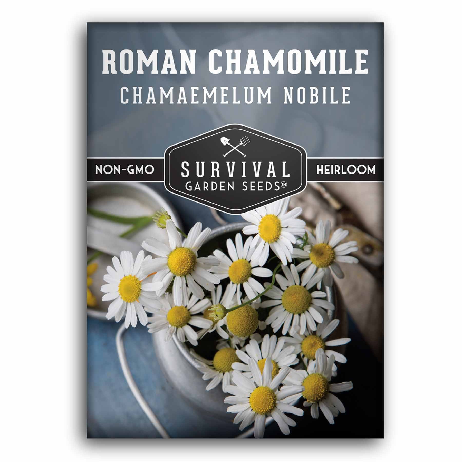 Roman Chamomile Seeds