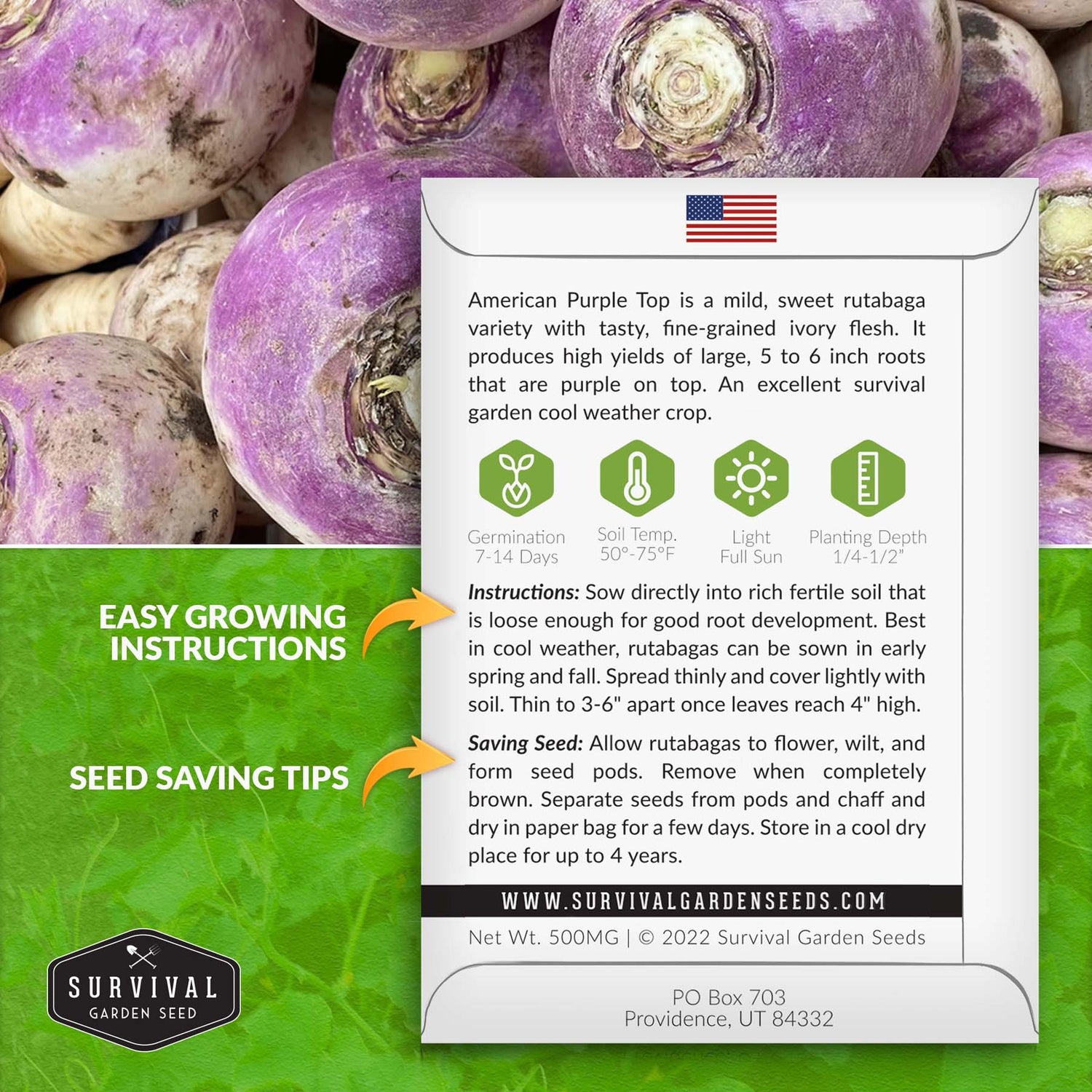 American Purple Top Rutabaga seed planting instructions