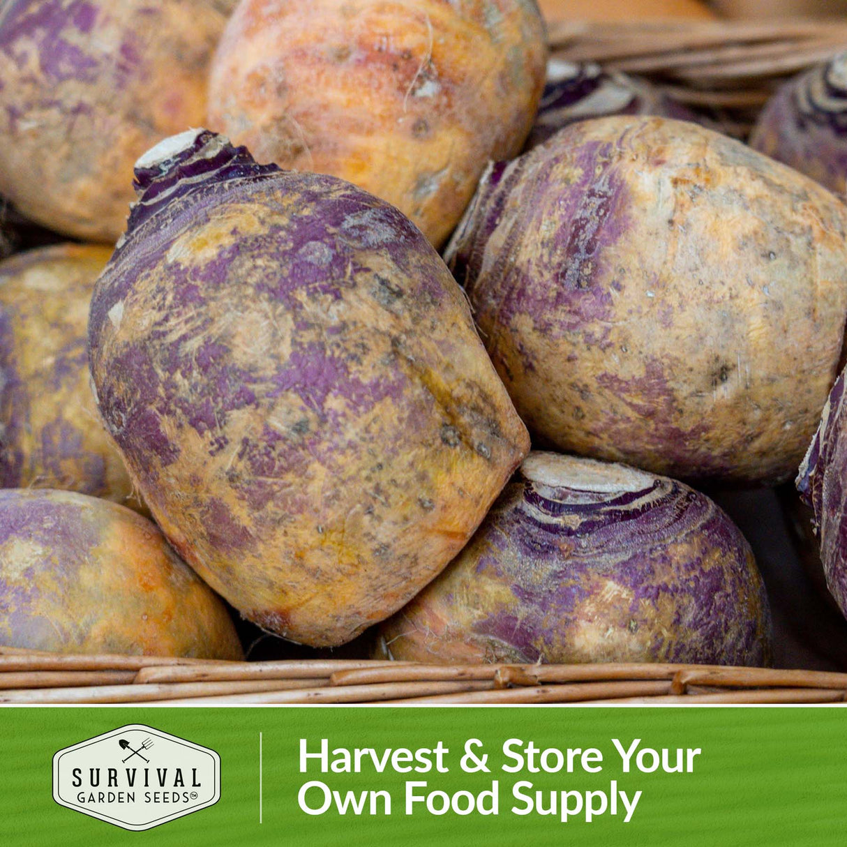 Harvest and store your own food supply