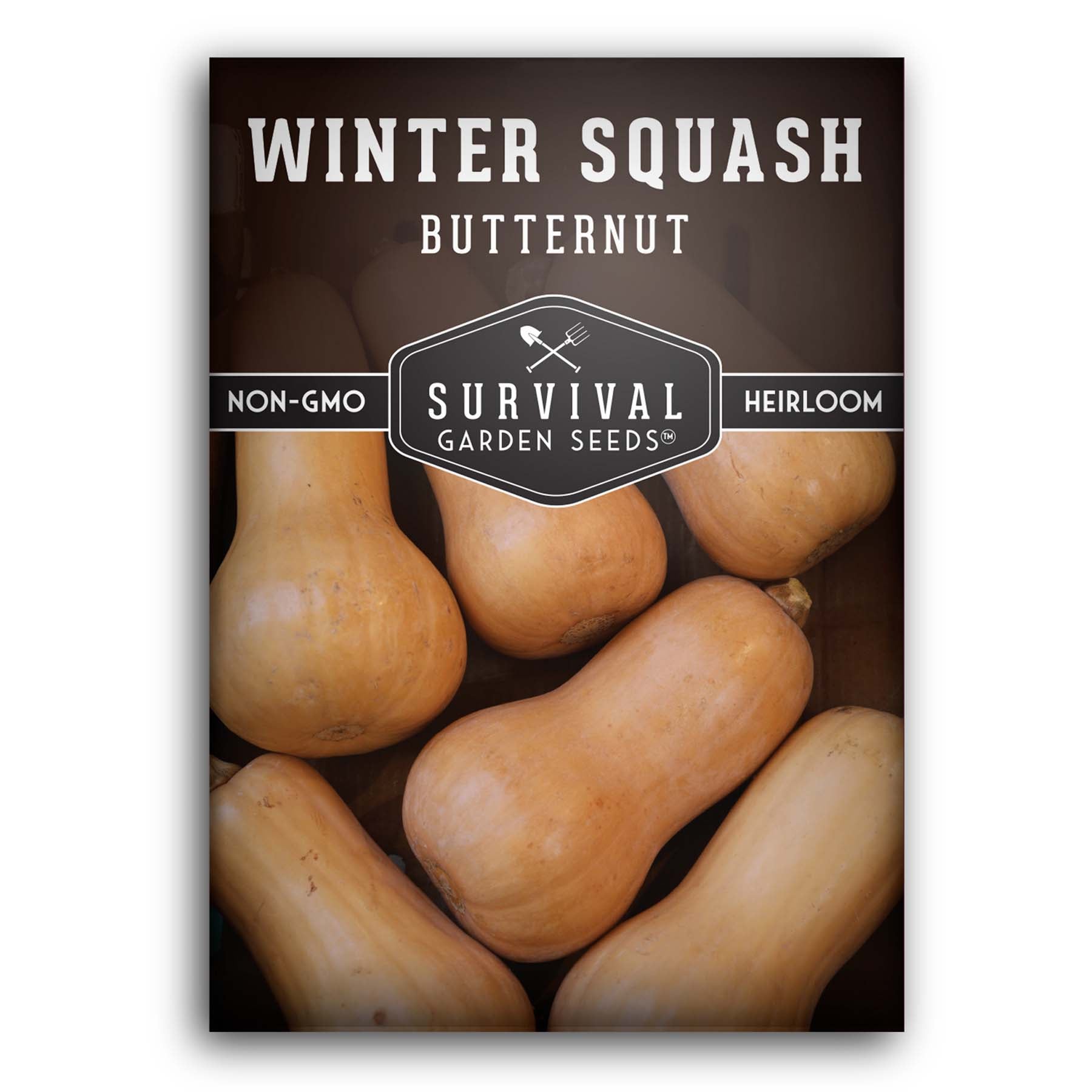 Butternut Winter Squash Seeds for planting