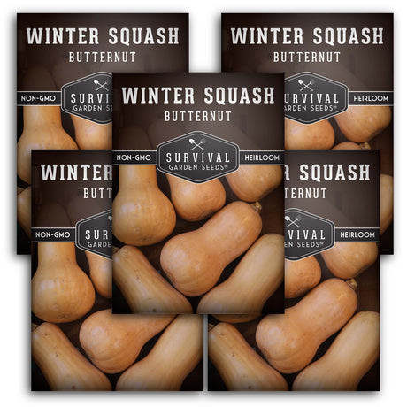 Butternut Squash Seed Packets - quantity 5