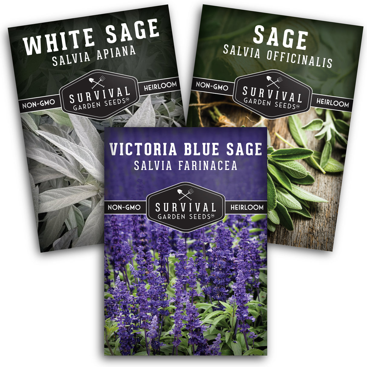Sage Collection - Blue Victoria, Culinary & White Sage