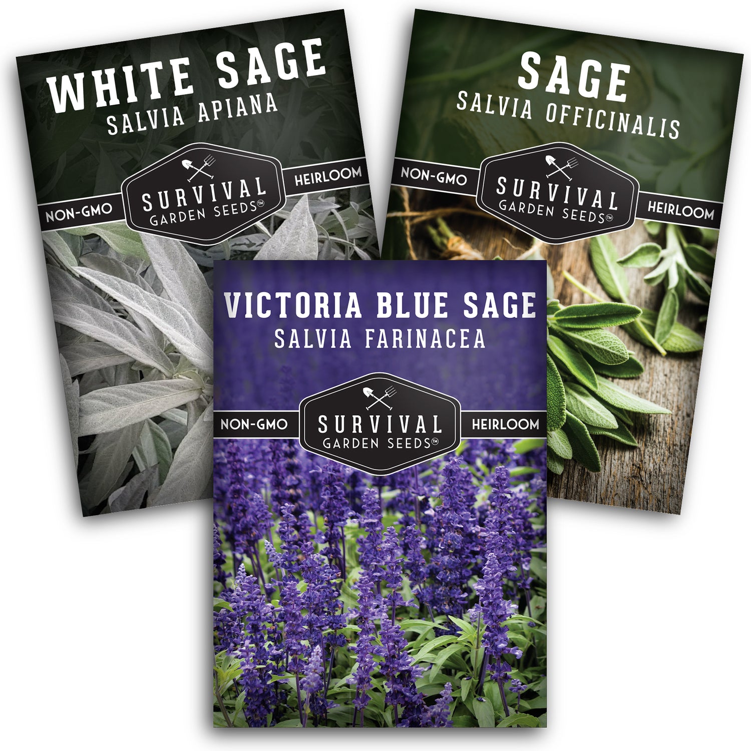Sage Collection - Blue Victoria, Culinary & White Sage