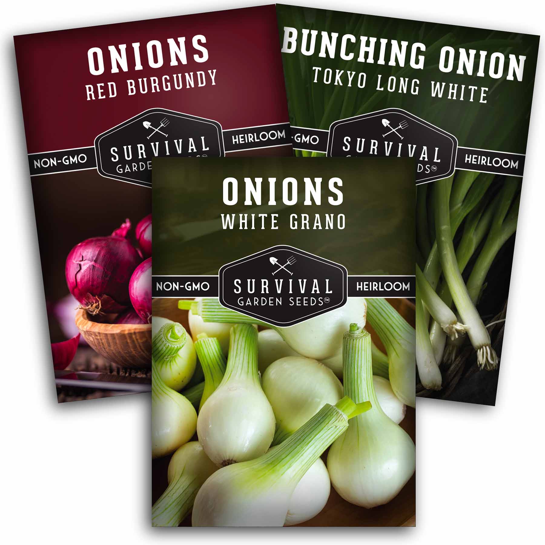 3 packets of short day onion seeds