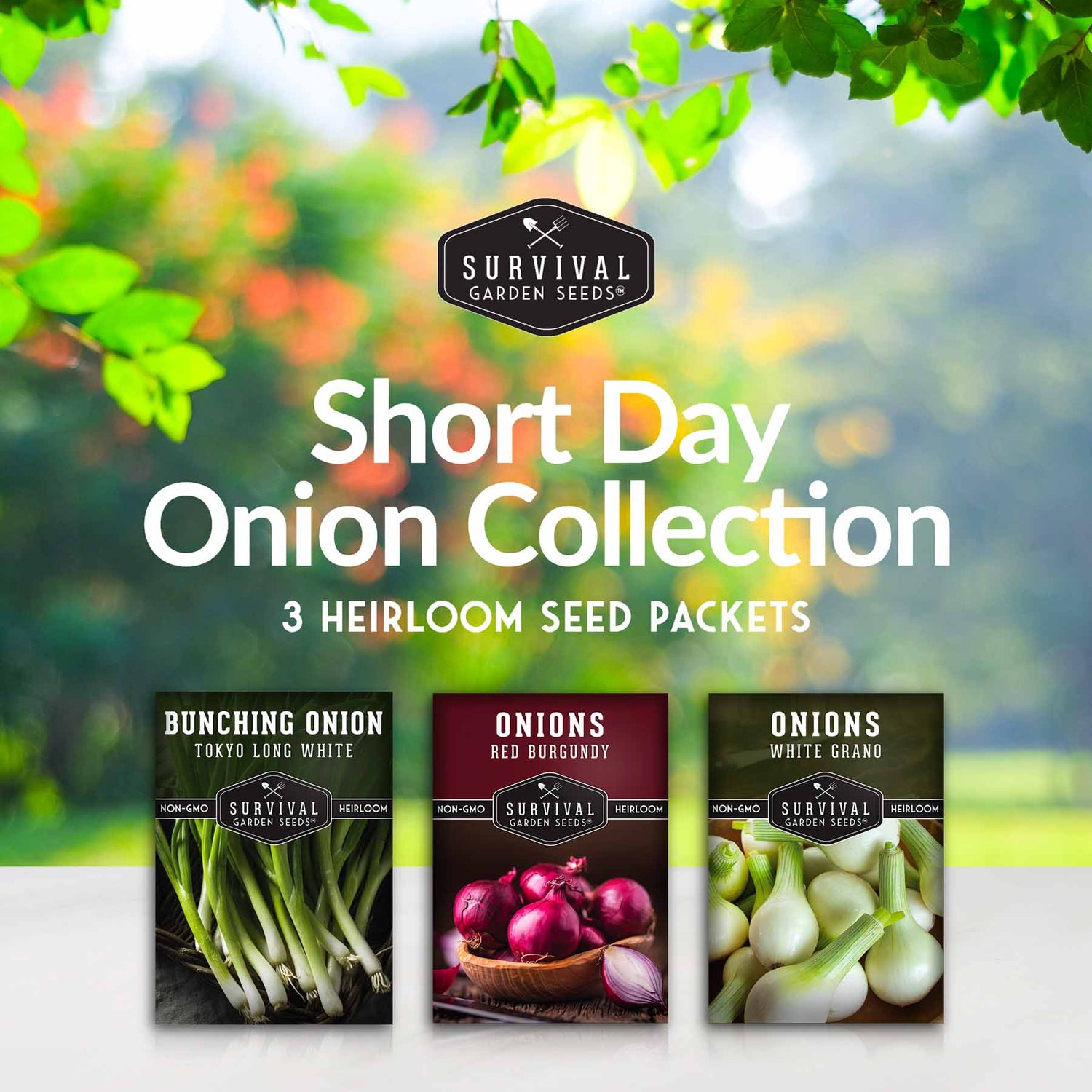 Short Day Onion Collection - 3 heirloom seed packets