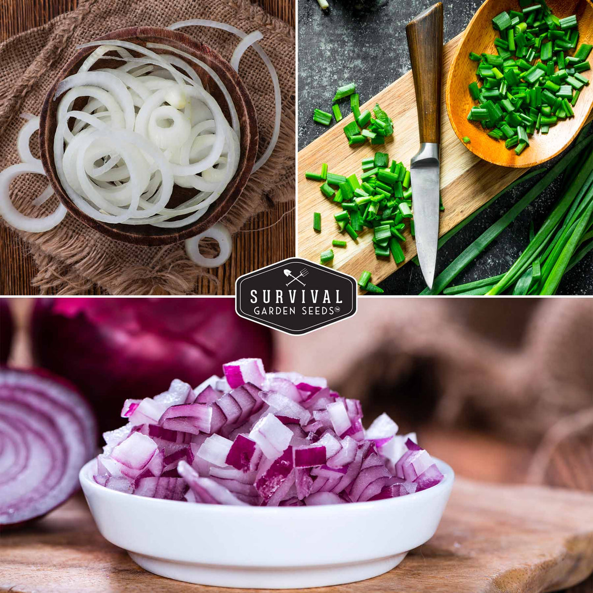white, burgundy and bunching onions