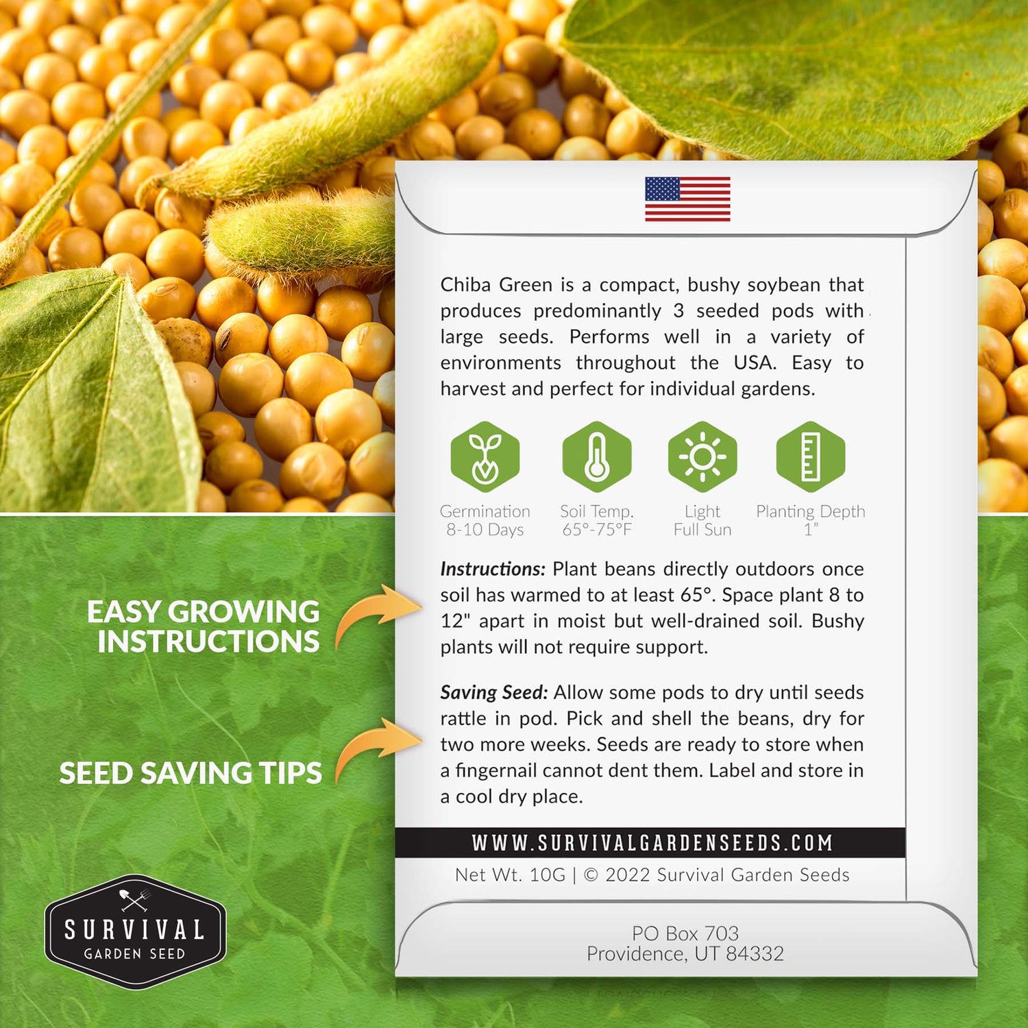 Chiba Green Soybean planting instructions