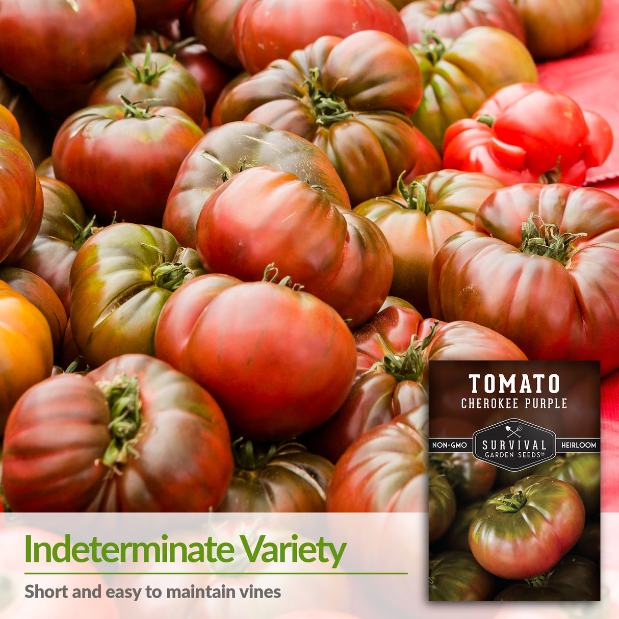 Cherokee Purple Tomato Seed