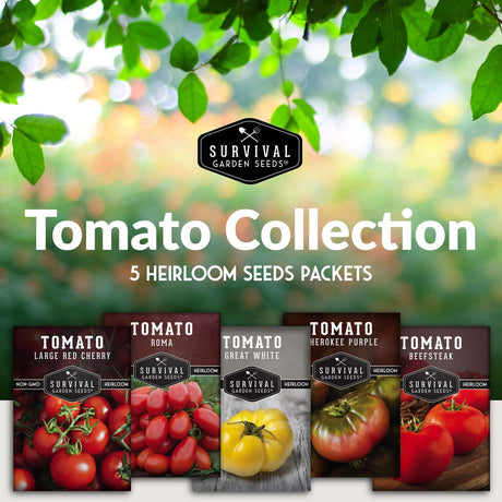 5 Heirloom Tomato Seed Packets