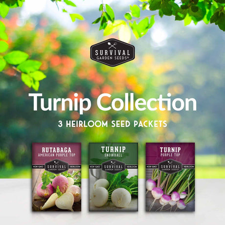 Turnip Collection - 3 heirloom seed packets