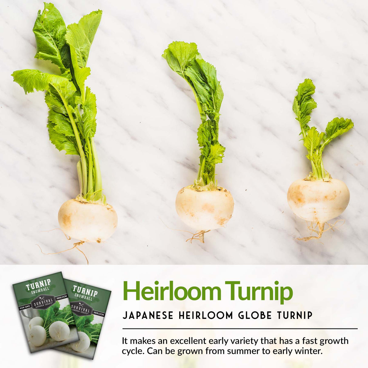 Snowball Turnip Seeds